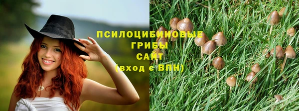 мет Балахна