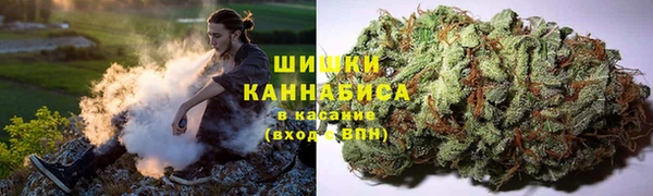 ГАЛЛЮЦИНОГЕННЫЕ ГРИБЫ Баксан