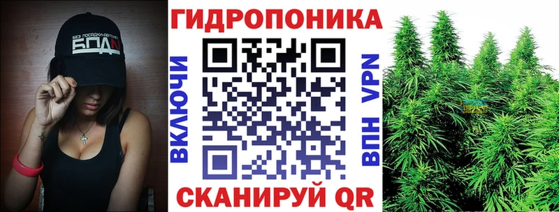 darknet Telegram  Дыгулыбгей  Канабис Bruce Banner 